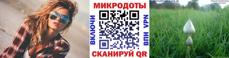 Псилоцибиновые грибы ЛСД  Купить где  Шумиха 